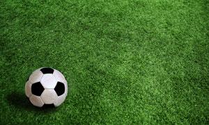 经典法甲押注站细节决定你的投注成败(经典法甲押注站细节)-第1张图片